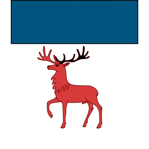 南安普敦大学